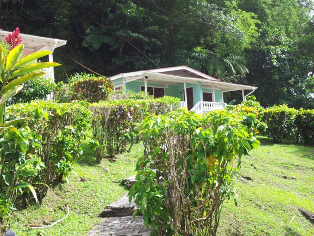 Chez Ophelia Cottage Apartments Roseau Rom bilde