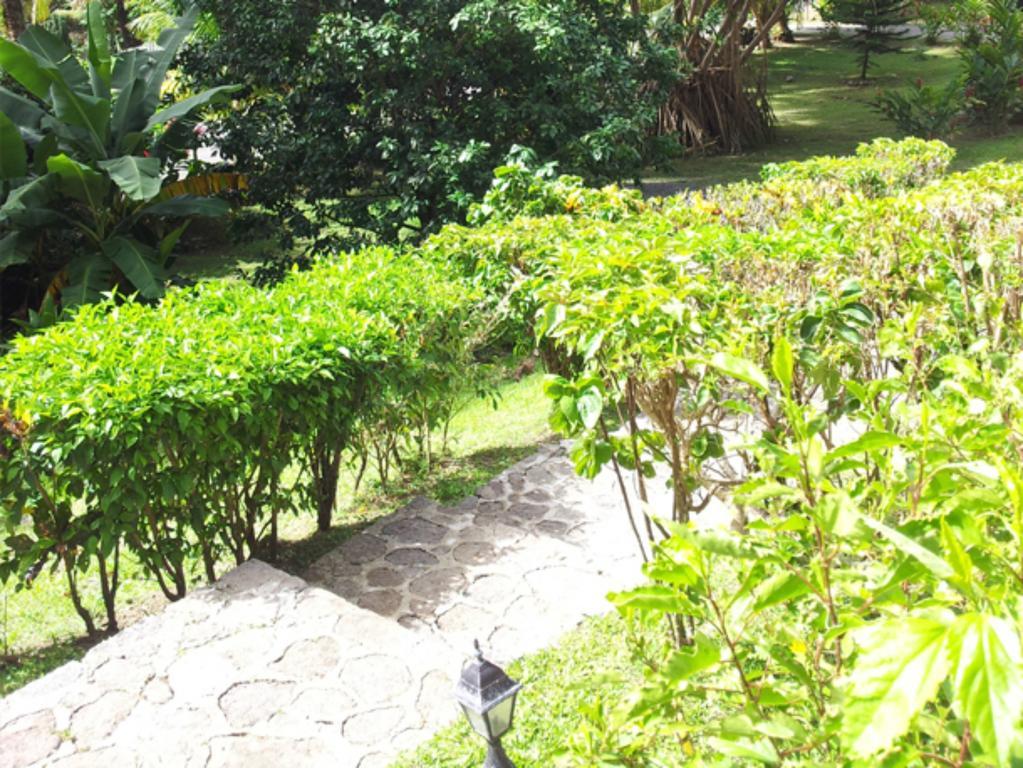 Chez Ophelia Cottage Apartments Roseau Rom bilde